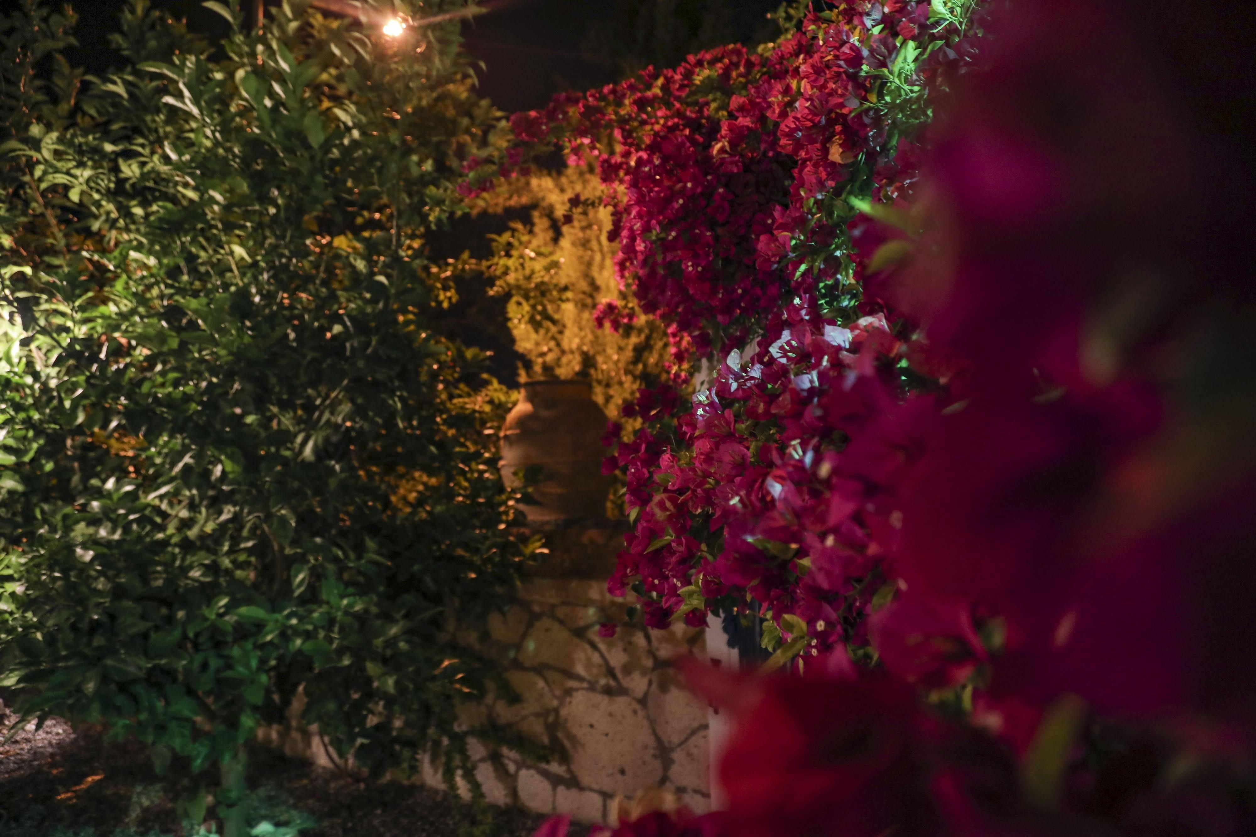 Sari Gelin Alacati Hotel Kültér fotó