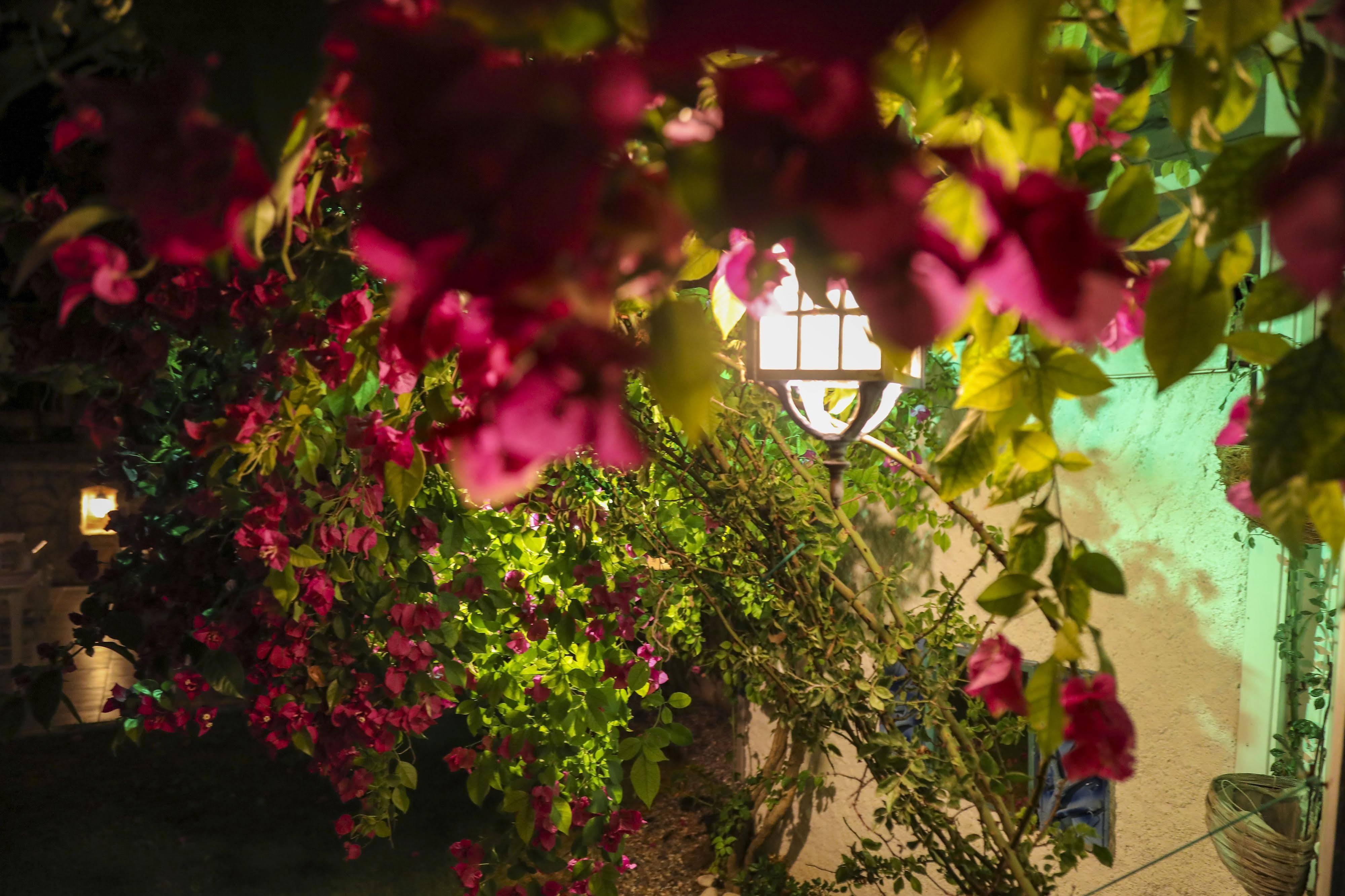 Sari Gelin Alacati Hotel Kültér fotó